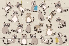 Racoons Product Image 2
