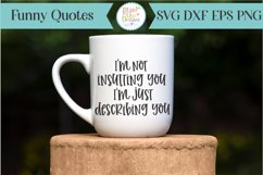 Not insulting you just describing you SVG Cutting File Product Image 1