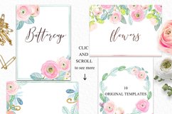 Buttercups. Ranunculus soft pink. Product Image 11