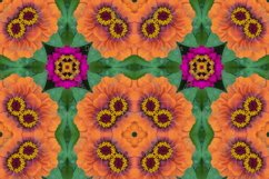 12 abstract Seamless colorful FLOWER patterns pack. Product Image 3