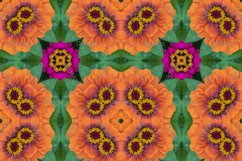 12 abstract Seamless colorful FLOWER patterns pack. Product Image 3