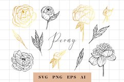 Peony svg, Hand drawn peony flowers PNG, Flowers SVG Product Image 1