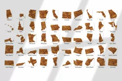 Political divisions of the US. Fluffy tiger print Product Image 5