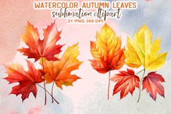 Watercolor Autumn Leaves Sublimation Clipart Product Image 9