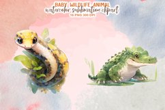 Watercolor Baby Wildlife Animal Sublimation Clipart Product Image 9
