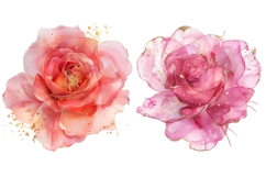 30 Watercolor Rose Clipart, Pink Floral PNG, Wedding Flowers Product Image 9