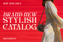 Inword - UNique Display Serif Font Product Image 9