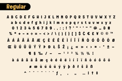 Fox Tigger : 4 Font Styles Product Image 9