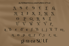 Sparkling Mellow - Elegant Sans Font Product Image 9