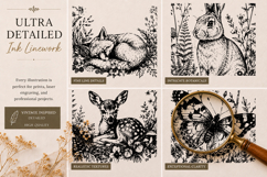 Woodland Ink Illustration Bundle Product Image 10