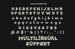 Roleya - Groovy Bold Font Product Image 9