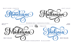 Andelintia - Family Font In 67 Styles Product Image 9