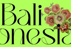 Bunmerang - Display Logo Product Image 10