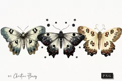 Vintage Goth Moths Clipart | Vintage Gothic PNG Product Image 1