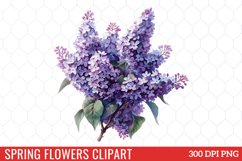 Spring Flowers Clipart Bundle Product Image 10