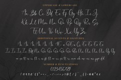 Bionetha - Elegant Handwritten Script Product Image 9