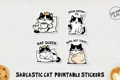 Sarcastic Cat Printable Stickers PNG Product Image 1