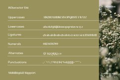 Castilon Product Image 8