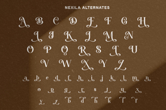 Nexila - Luxury Serif Font Product Image 9