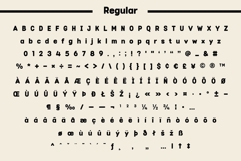 Fox Diablo: 4 Font Styles Product Image 9