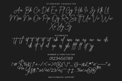 Baretto - Signature Font Product Image 9