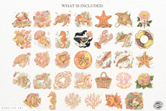 Preppy Flourish Coastal Clipart Product Image 5