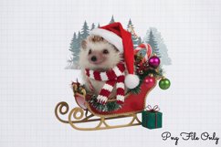 Christmas Hedgehog Clipart PNG Product Image 1