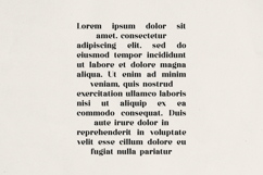 Averique Elegant Modern Serif Font Product Image 9