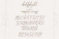 Blush A Script Font Product Image 9