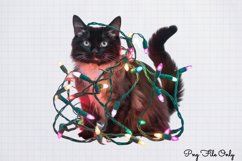 Christmas Cats Clipart Bundle PNG Product Image 10