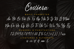 Costiera - Elegant Handbrush Product Image 9