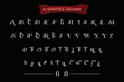 Always Memorable - Luxury Branding Font Product Image 9