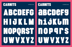 Carnit Bold Playful Sans Serif Font Product Image 9