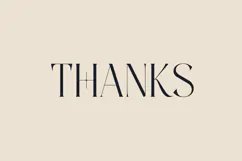 Stonebury Sculpted Display Serif Font Product Image 9
