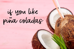 Tropical Trail Script Product Image 9