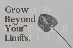 Desrige Product Image 9