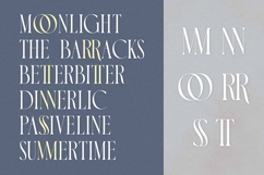 Luxoorea - Stylish Display Serif Product Image 9