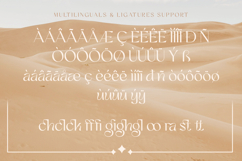 Deglion - Classy Elegant Display Serif Product Image 9
