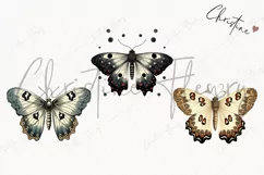 Vintage Goth Moths Clipart | Vintage Gothic PNG Product Image 3