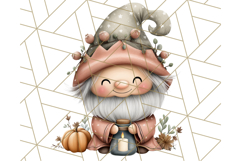Fall Gnome Clipart PNG Cute Thanksgiving Gnomes Product Image 5