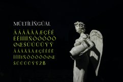 Midtown Groveed - A Display Serif Product Image 9