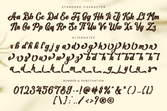 Hamilton - Bold Script Font Product Image 9