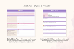 Pregnancy Planner Excel Spreadsheet Product Image 9