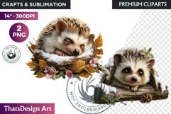 Hedgehog Watercolor Winter Animal Clipart Wildlife PNG Product Image 1