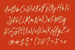 Palmetas Product Image 9