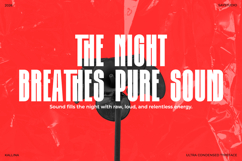 Kalina - Ultra Condensed Font Product Image 9