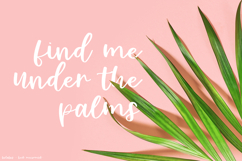 Bolabos Script Product Image 9