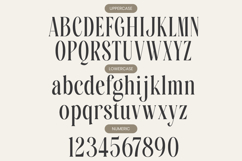 Mafesta - Elegant Condensed Serif Font Product Image 9