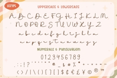 Groovy Mistletoe Font Duo | Retro Display Script Font Product Image 9