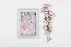 Pretty Watercolor Roses '' 72 Jpg / Png Overlays '' Product Image 6